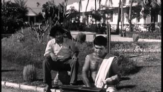 Parasakthi  Tamil Movie Comedy  Sivaji Ganesan  Pandari Bai [upl. by Aihsatan581]