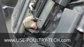 Use Poultry Tech Systemate Thigh Deboner D40 [upl. by Ahsotan628]