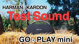 Harmankardon GoPlay mini Review Outdoor [upl. by Esirahs]