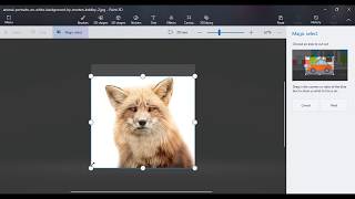 Paint 3D How to remove white background from a Picture to make it transparent [upl. by Nataniel246]