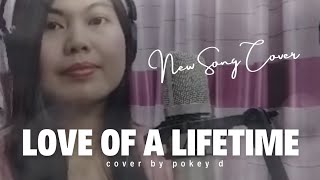 Love of a lifetime cover by Pokey D [upl. by Giule233]