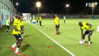 CM Qatar 2022 première séance dentraînement des Lions du Sénégal [upl. by Stormie]