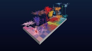 Cell Type Taxonomies A to Z Cross Species Cell Types [upl. by Vaasta]