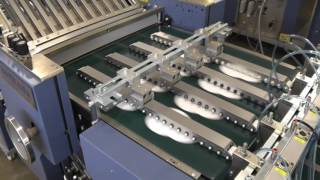 Rotary Die Cutting 4 Up Specialty Folded Product [upl. by Garate]