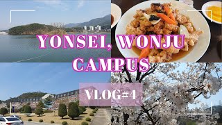 Un día de primavera en Corea Visitamos la universidad de Yonsei en Wonju Vlog 4 en Corea [upl. by Gnik423]