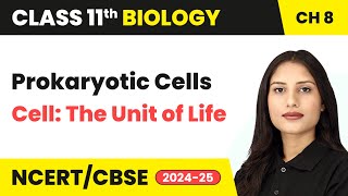 Prokaryotic Cells  Cell The Unit of Life  Class 11 Biology Chapter 8  CBSE 202425 [upl. by Yauqaj]