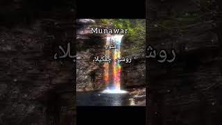 Munawar name meaningtrending love munawar [upl. by Namurt]