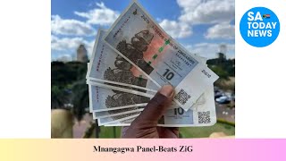 Mnangagwa Panel Beats ZiG [upl. by Dekow584]