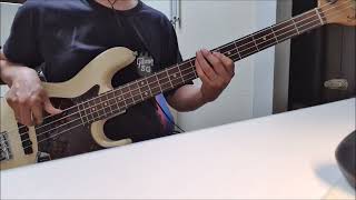 Marshmello x Jonas Brothers  Leave Before You Love Me bass cover [upl. by Elegna]