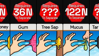 Probability Comparison Stickiest Things You Might Accidentally Touch [upl. by Annice]