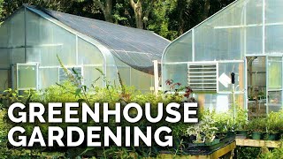 Greenhouses 101 Everything You Need to Know [upl. by Dupuy]