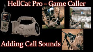 Adding Call Sounds to the FoxPro Hellcat Digital Game Caller [upl. by Yuma]