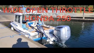 how good is a HONDA outboard BF250  BEAUTIFUL SUNNY DAY BOAT RIDE [upl. by Jc]