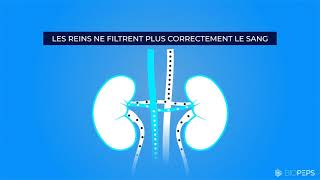 Comprendre la maladie chronique rénale [upl. by Luce52]