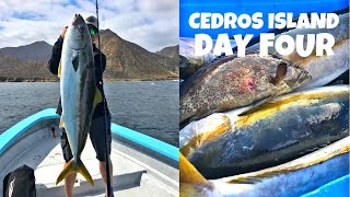 Fishing Cedros Island in Mexico for GIANT Yellowtail Final day [upl. by Valeda]