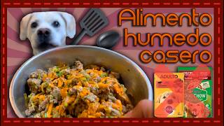 Receta fácil y saludable de alimento húmedo para perros en casa [upl. by Annayd624]