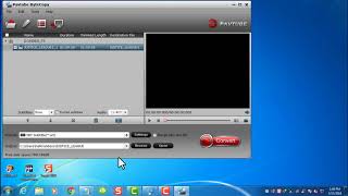 Pavtube ByteCopy 4 9 2 0 Export SRT Subtitles [upl. by Weiman]