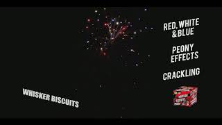 Zippity Doo Dah  500 Gram Fireworks Assortment [upl. by Yellah354]