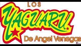 LOS YAGUARU MIX [upl. by Marilin654]