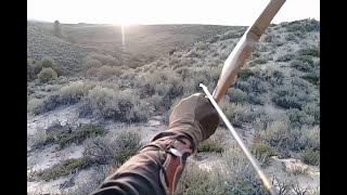 Colorado Moose Hunt Solo Longbow [upl. by Stoeber]