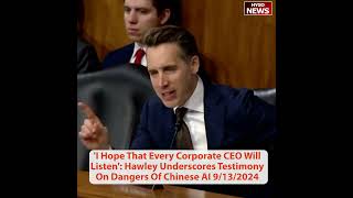 Dangers Of Chinese AI Hawley I Hope That Every Corporate CEO Will Listen billions invested China [upl. by Tager]