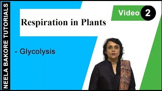 Respiration in Plants  NEET  Glycolysis  Neela Bakore Tutorials [upl. by Cade]