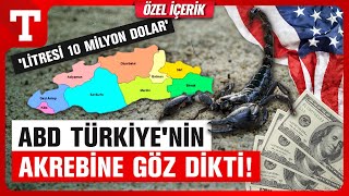 ABDnin Türkiyedeki 10 Milyon Dolarlık Akrep Avı  Türkiye Gazetesi [upl. by Dnomyaw]