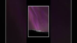 Incredible Northern Lights in Alaska 10724 shorts [upl. by Wynny]