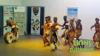 Lions of Zululand at Hetton School Sunderland [upl. by Ettenna]