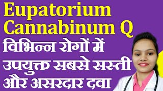 Eupatorium Cannabinum Q  विभिन्न रोगों में उपयुक्त सबसे सस्ती और असरदार होम्योपैथिक दवा [upl. by Hanson995]