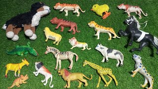 wild animals lion tiger dog cow horse crocodile zebra giraffe sheep dinosaur [upl. by Marys]