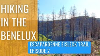 Escapardenne Eisleck Trail Solo Hike Ep2  crossing the border and first night hike into Houffalize [upl. by Eidnahs996]