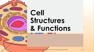 Basic Anatomy amp Physiology 03  CELL STRUCTURES amp FUNCTIONS Reference Seeleys [upl. by Katharine]