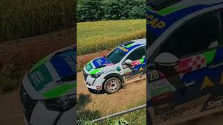 Rally erechim 2024 automobile rally shorts wrc [upl. by King]