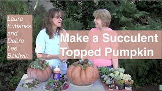 Make a SucculentTopped Pumpkin with Laura Eubanks and Debra Lee Baldwin [upl. by Airel]