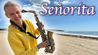 Señorita live on the Beach 🌅  Shawn Mendes amp Camila Cabello  Live Saxophone Cover Danique [upl. by Aerdnod]