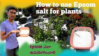 How to use epsom salt [upl. by Edivad]