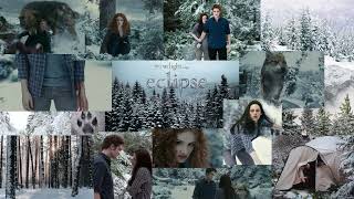 The Twilight Saga New Moon in 1 Minute Show  Funny Videos Funny Movies Funny Shorts [upl. by Nas643]