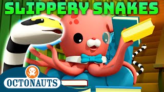 Octonauts  🌧️ Slippery Snakes 🐍  National Serpent Day  50 Mins Compilation [upl. by Airliah240]