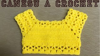 PASO A PASO PARA TEJER CANESÚ A CROCHET [upl. by Diskson]