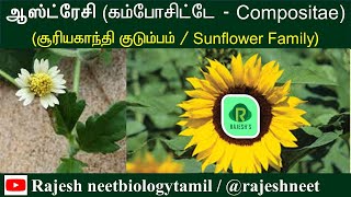 Compositae  Asteraceae  Newly Added plant Families  Rajesh NEET Academy RNA rajeshneet  RNBT [upl. by Waylan299]