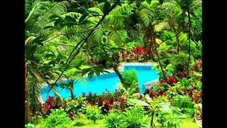 7 Hectare Mountain Ecolodge Hotel 10 minutes from La Fortuna with view of Arenal Volcano [upl. by Belldame482]