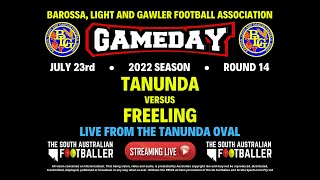 🔴LIVE  BLG Football Assoc ROUND 14  Tanunda Vs Freeling [upl. by Miller]