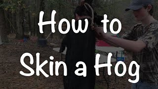 How to Skin a Hog the Easy Way [upl. by Acsehcnarf]