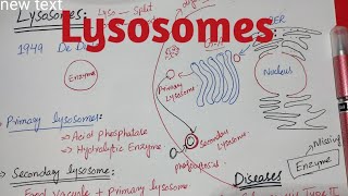 Lysosomes  Glycogensis type 2 disease Taysach disease class 11 biology [upl. by Onairam]