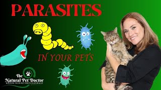 Top Natural Remedies For Parasites In Your Dogs amp Cats  Holistic Vet Advice [upl. by Hashim598]