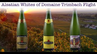 A conversation with Anne Trimbach of Domaine Trimbach [upl. by Ailegnave25]