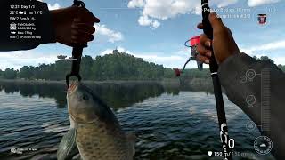 Fishing Planet  Trophy Carp Carp Rod and Boilies Mission [upl. by Anett928]