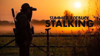 Summer Roebuck Stalking [upl. by Younger480]