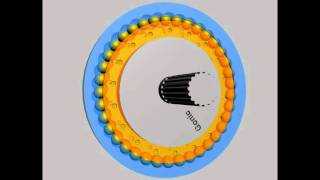 Gonic Cycloidal Drive [upl. by Cohla]